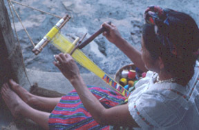 weaverB.jpg (22481 bytes)